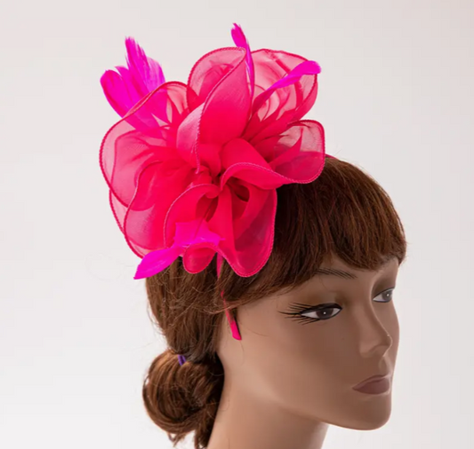 Fuchsia fascination